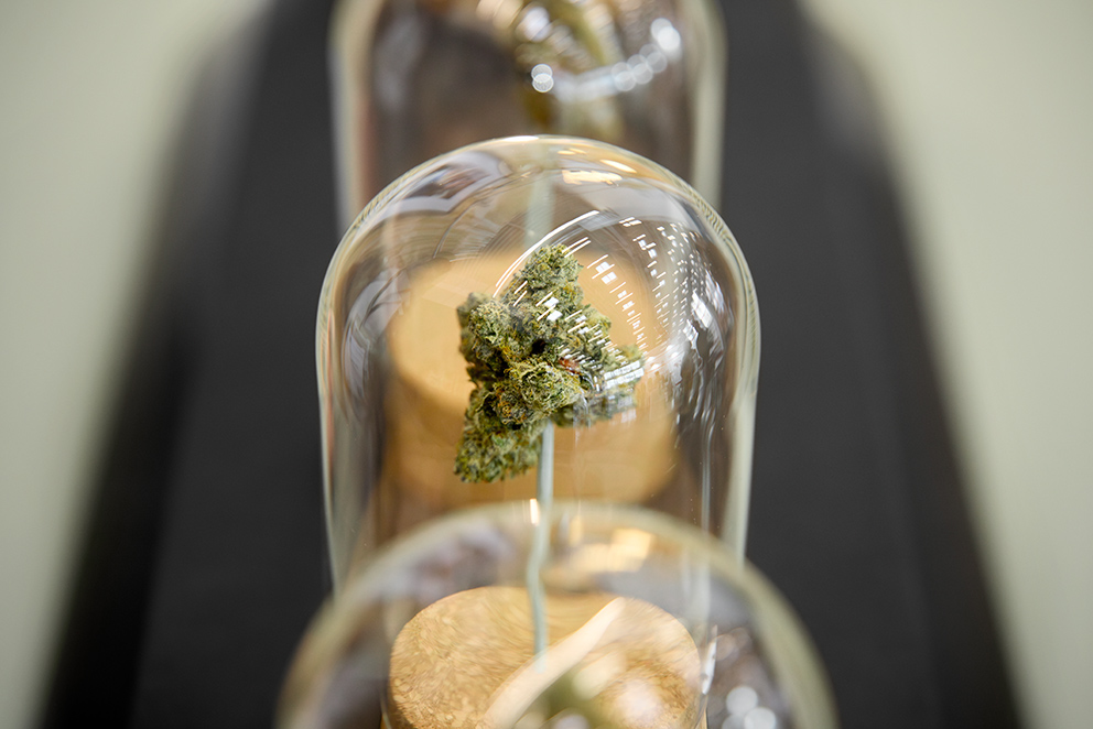 Foto von medizinischem Cannabis