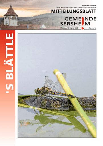 Ausgabe 33/2025 lesen