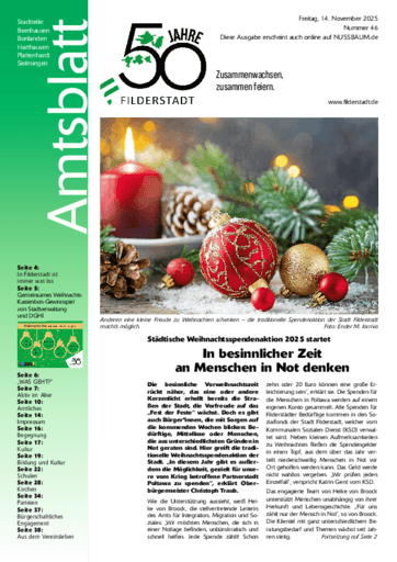 Ausgabe 46/2025 lesen