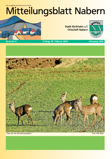 Ausgabe 06/2024 lesen