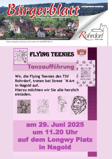 Ausgabe 25/2025 lesen