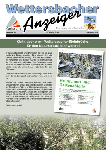 Ausgabe 34/2024 lesen