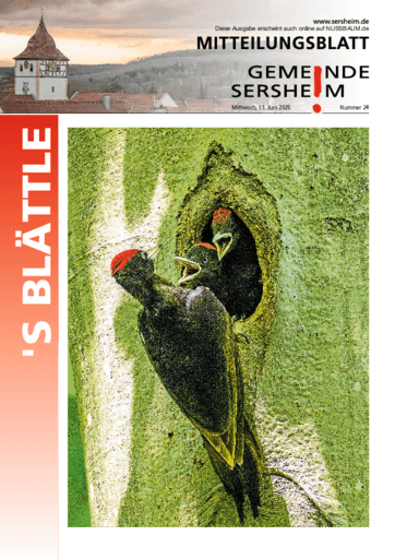 Ausgabe 24/2025 lesen