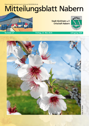 Ausgabe 21/2025 lesen