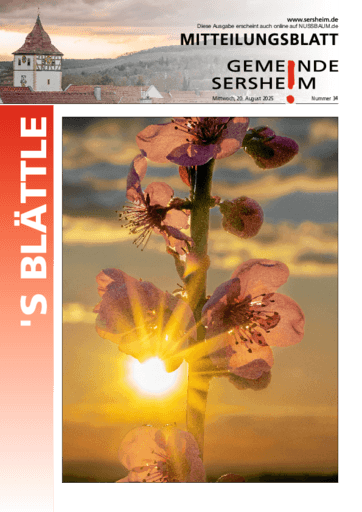 Ausgabe 34/2025 lesen