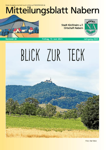 Ausgabe 24/2025 lesen