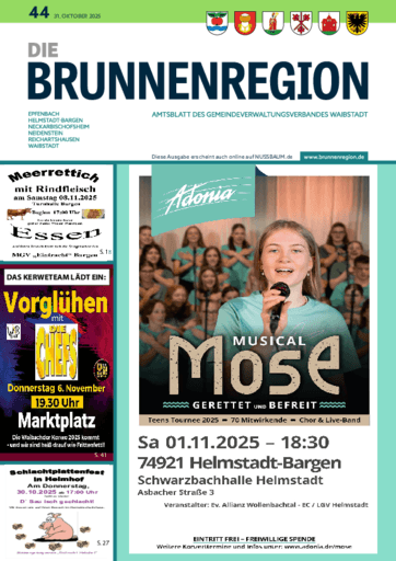 Ausgabe 44/2025 lesen