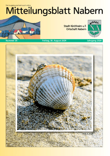 Ausgabe 35/2024 lesen