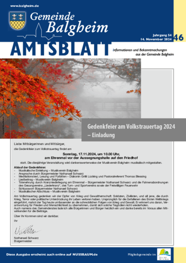 Ausgabe 46/2024 lesen