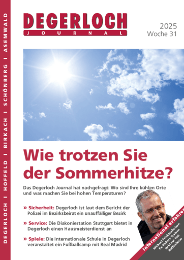 Ausgabe 31/2025 lesen