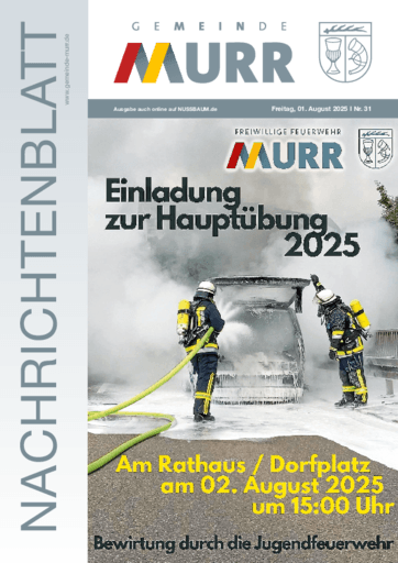 Ausgabe 31/2025 lesen