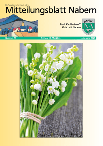 Ausgabe 19/2024 lesen