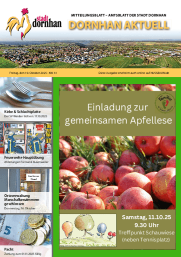 Ausgabe 41/2025 lesen