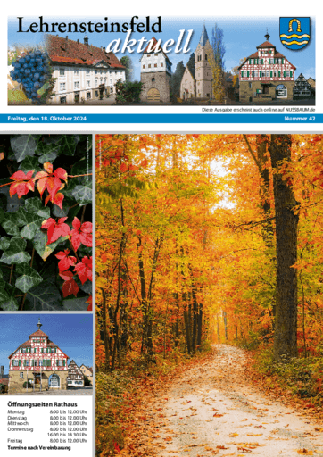 Ausgabe 42/2024 lesen
