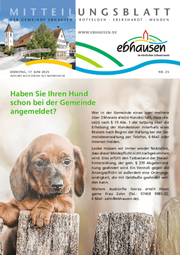 Ausgabe 25/2025 lesen