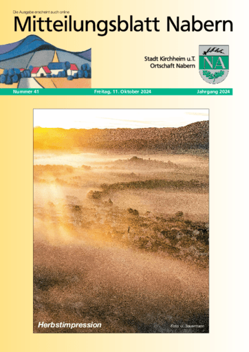 Ausgabe 41/2024 lesen
