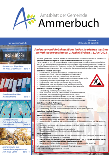 Ausgabe 22/2025 lesen