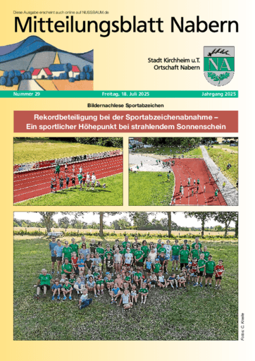 Ausgabe 29/2025 lesen