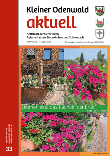 Ausgabe 33/2025 lesen