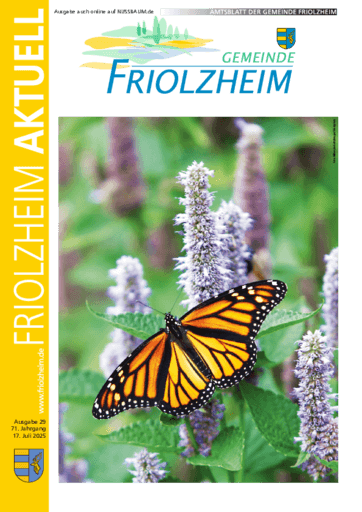 Ausgabe 29/2025 lesen