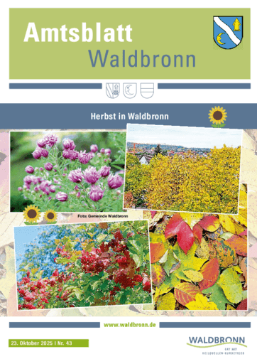 Ausgabe 43/2025 lesen
