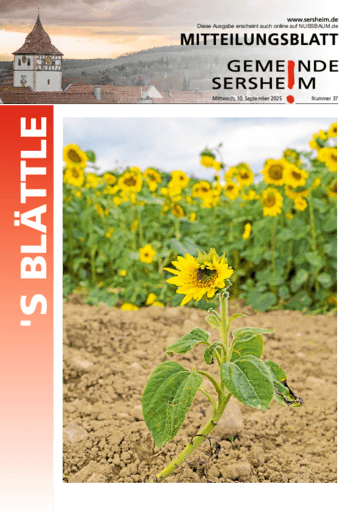 Ausgabe 37/2025 lesen