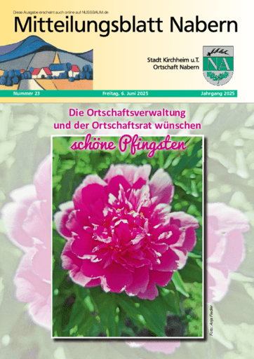 Ausgabe 23/2025 lesen