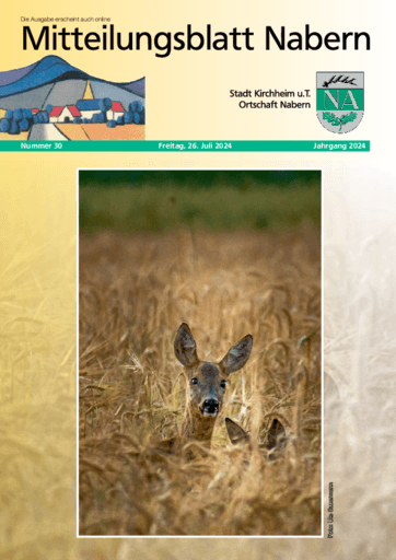 Ausgabe 30/2024 lesen