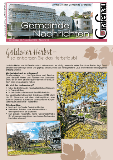 Ausgabe 45/2025 lesen