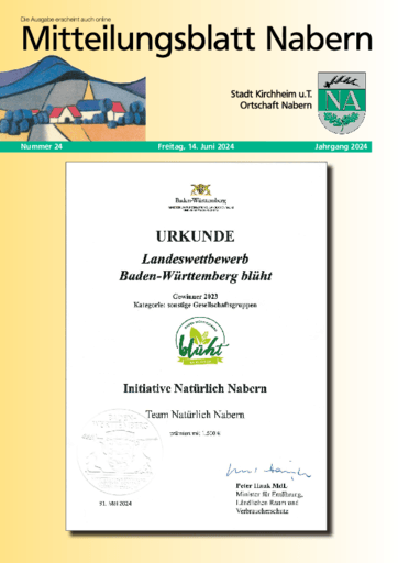 Ausgabe 24/2024 lesen