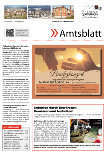Ausgabe 43/2025 lesen