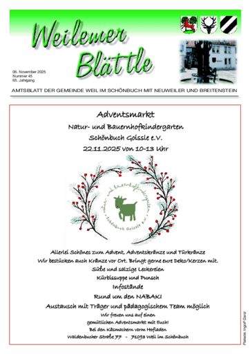 Ausgabe 45/2025 lesen