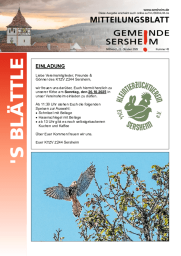 Ausgabe 43/2025 lesen