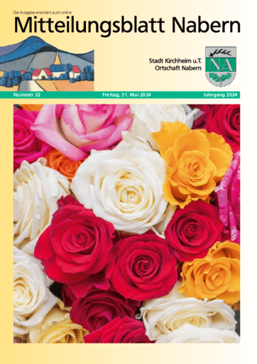 Ausgabe 22/2024 lesen