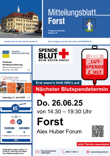 Ausgabe 25/2025 lesen