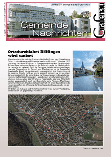 Ausgabe 43/2025 lesen