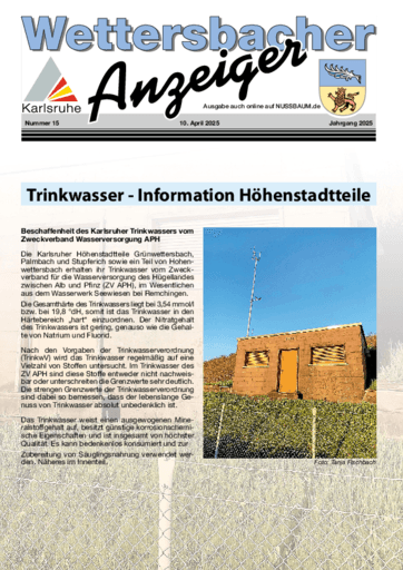 Ausgabe 15/2025 lesen