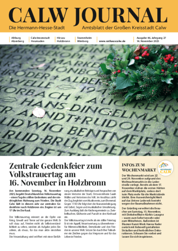 Ausgabe 46/2025 lesen