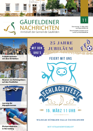 Ausgabe 11/2025 lesen