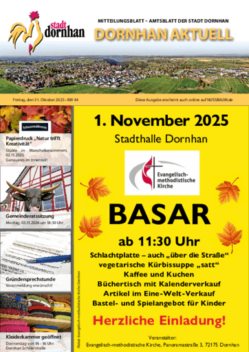 Ausgabe 44/2025 lesen