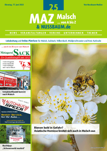 Ausgabe 25/2025 lesen