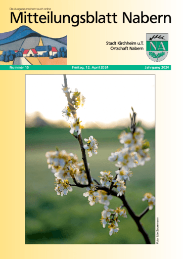 Ausgabe 15/2024 lesen