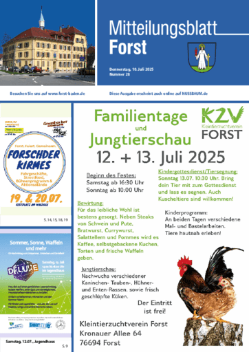 Ausgabe 28/2025 lesen