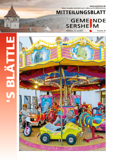 Ausgabe 29/2025 lesen