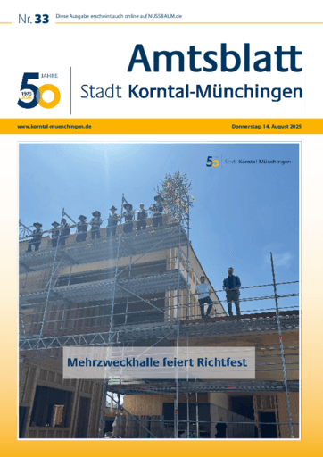 Ausgabe 33/2025 lesen