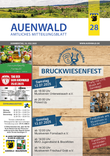 Ausgabe 28/2025 lesen